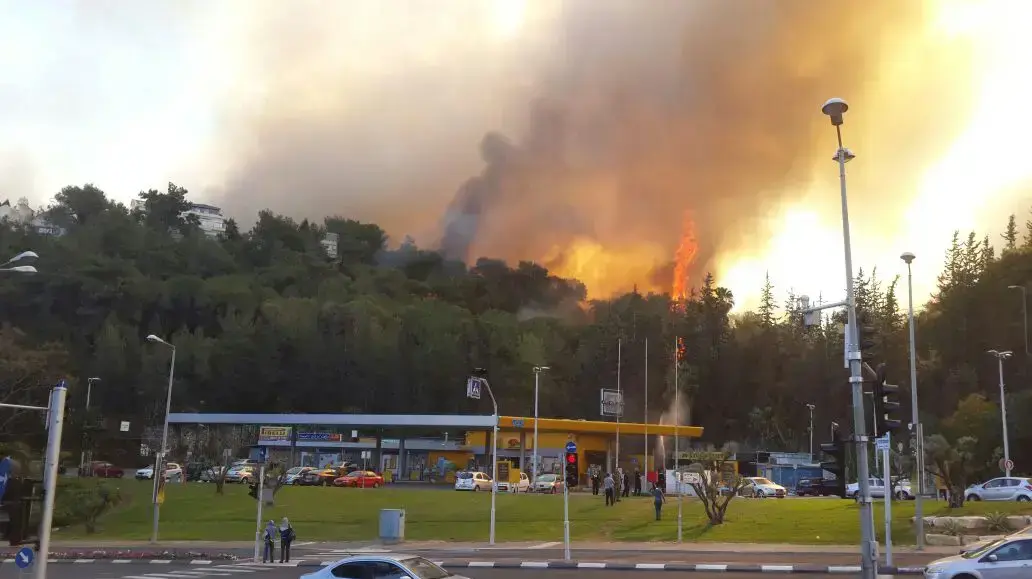 שריפה בשכונת רוממה שבחיפה, 24 בנובמבר 2016 שריפה בשכונת רוממה שבחיפה, 24 בנובמבר 2016