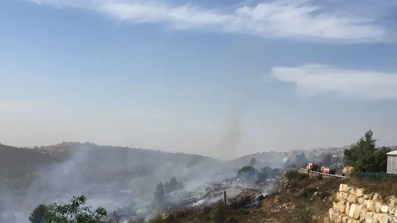 זירת השריפה בטלמון, 24 בנובמבר 2016 זירת השריפה בטלמון, 24 בנובמבר 2016
