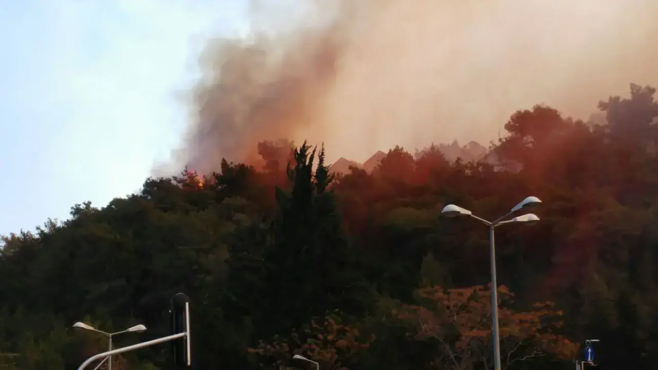זירת שריפה בשכונת רוממה בחיפה, 24 בנובמבר 2016 זירת שריפה בשכונת רוממה בחיפה, 24 בנובמבר 2016