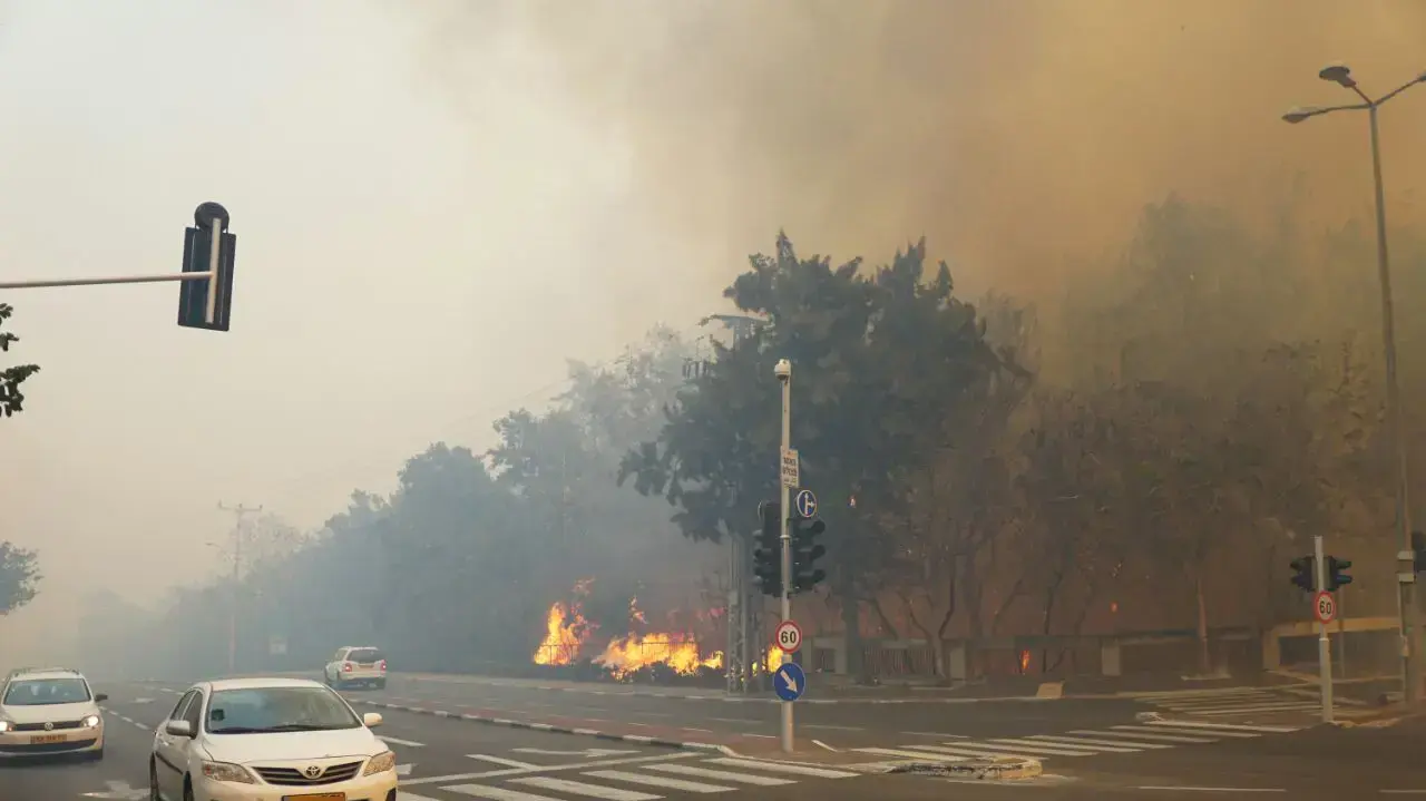 שריפה בחיפה, 24 בנובמבר 2016 שריפה בחיפה, 24 בנובמבר 2016