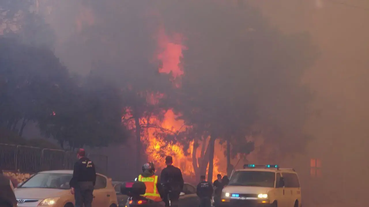 שריפה בחיפה, 24 בנובמבר 2016 שריפה בחיפה, 24 בנובמבר 2016