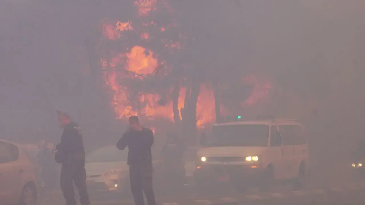 שריפה בחיפה, 24 בנובמבר 2016 שריפה בחיפה, 24 בנובמבר 2016