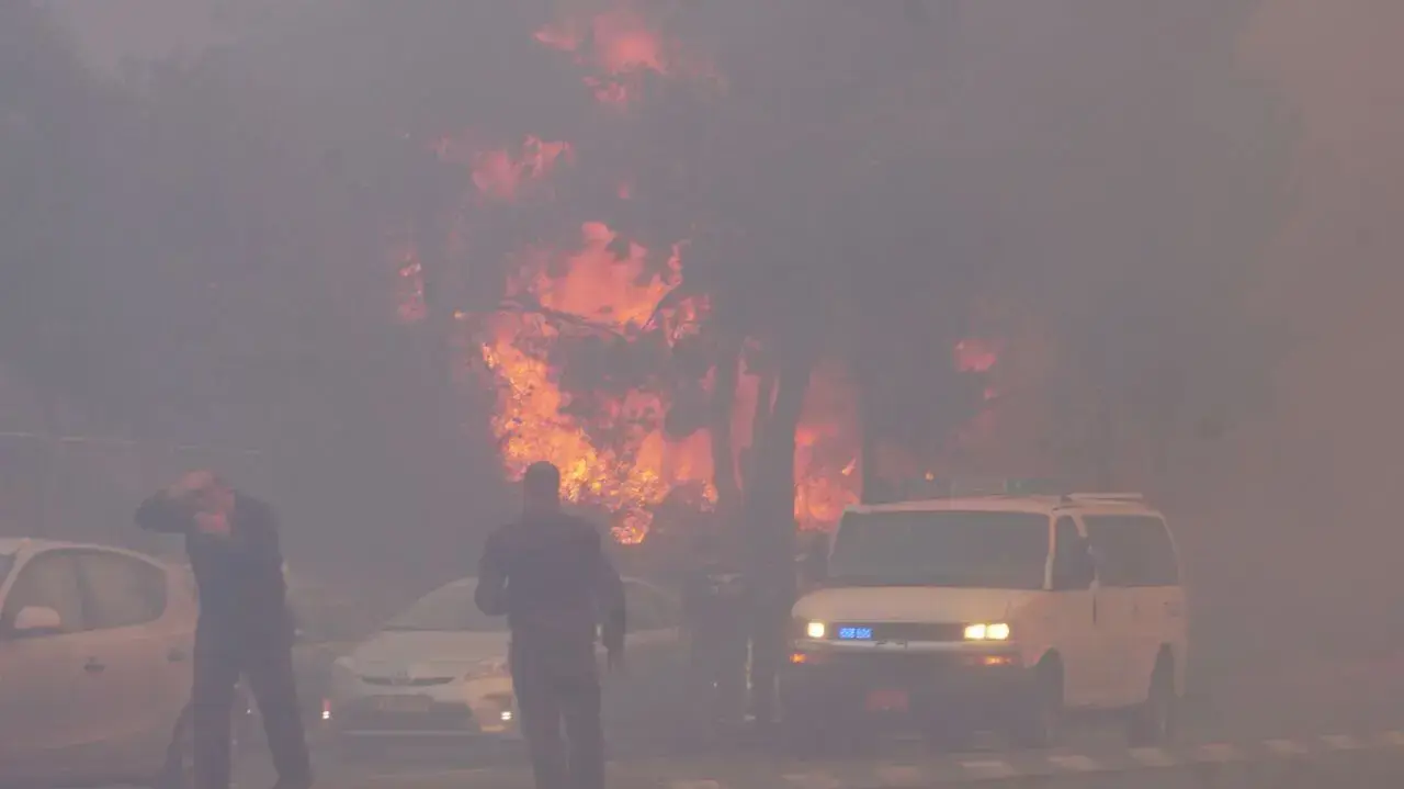 שריפה בחיפה, 24 בנובמבר 2016 שריפה בחיפה, 24 בנובמבר 2016