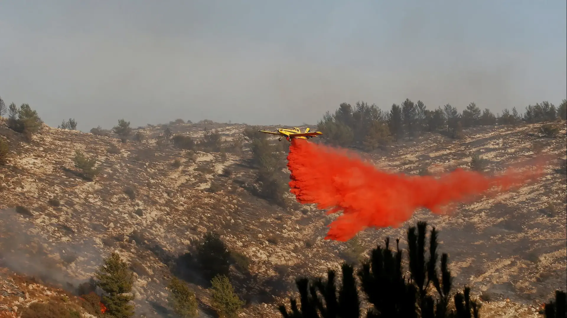 מטובי כיבוי מעל השריפה בחיפה, 24 בנובמבר 2016 מטובי כיבוי מעל השריפה בחיפה, 24 בנובמבר 2016