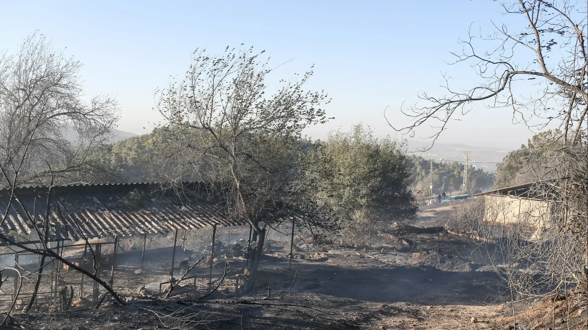 זירת השריפה בבית מאיר, 25 בנובמבר 2016 זירת השריפה בבית מאיר, 25 בנובמבר 2016