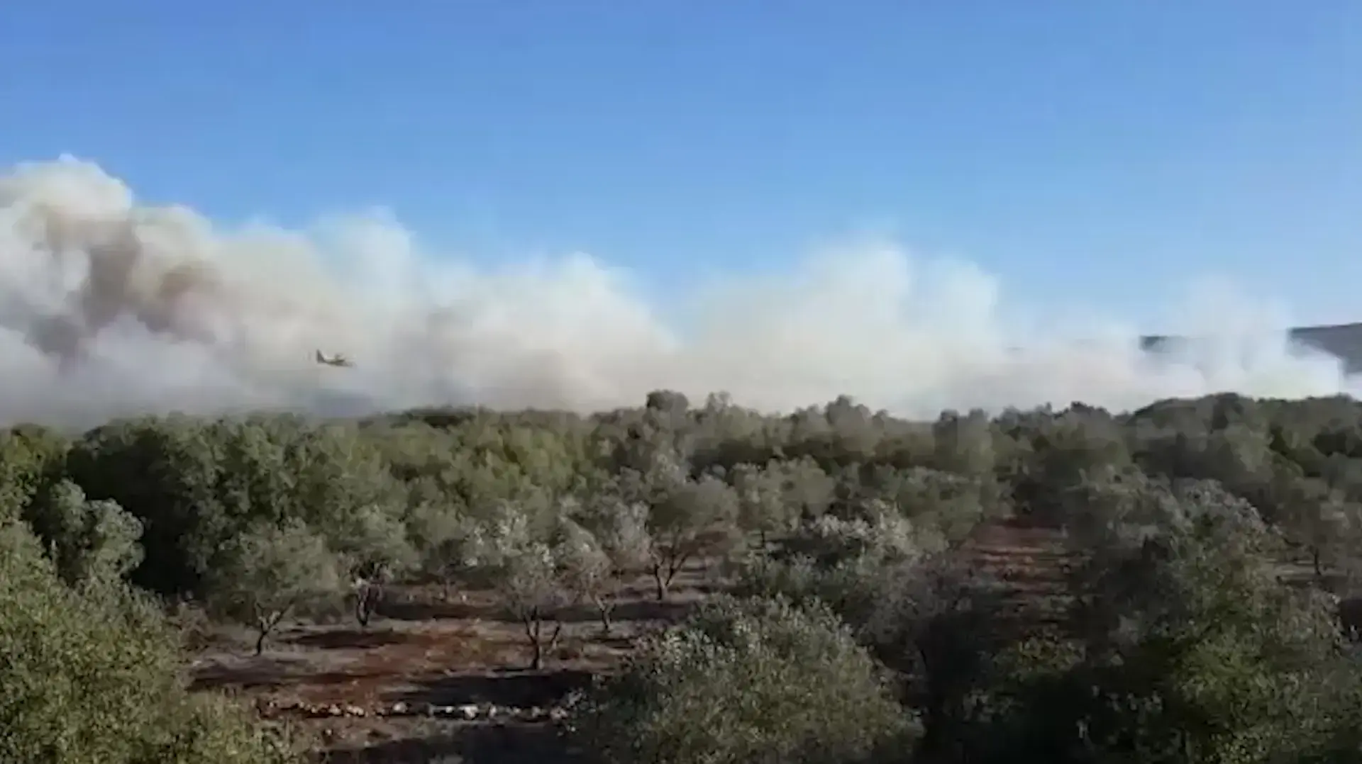 שריפת חורש שפרצה ביישוב חרשים בגליל המערבי, 25 בנובמבר 2016 שריפת חורש שפרצה ביישוב חרשים בגליל המערבי, 25 בנובמבר 2016