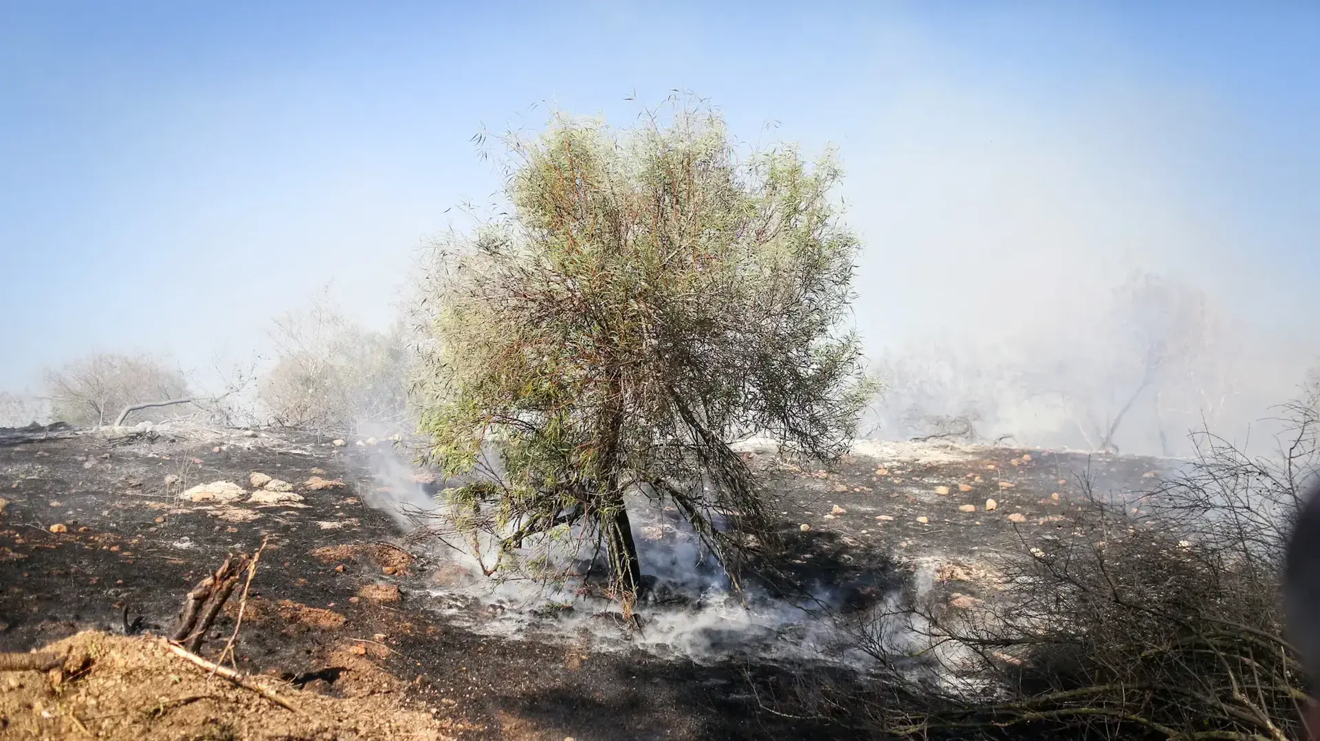 זירת השריפה בבית מאיר, 25 בנובמבר 2016 זירת השריפה בבית מאיר, 25 בנובמבר 2016
