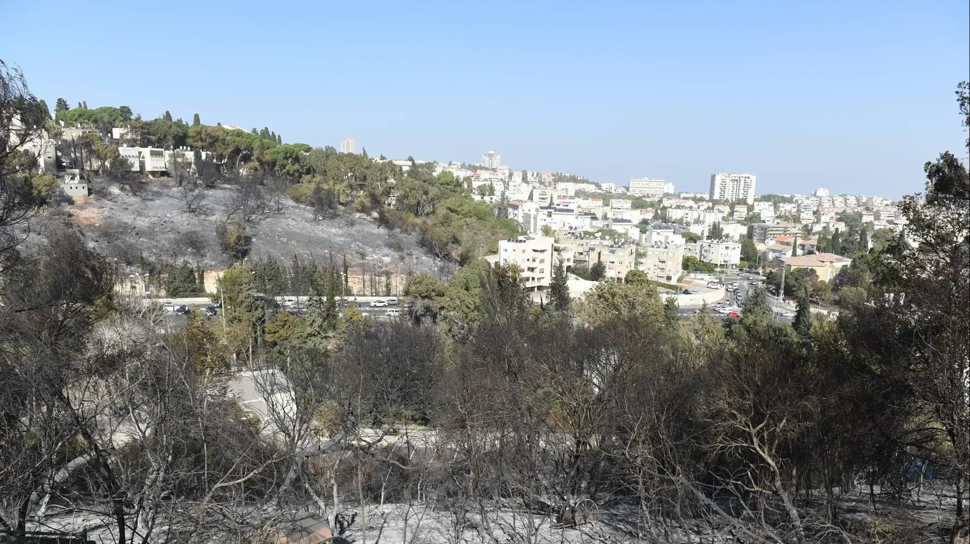 נזקי השריפה בחיפה, 25 בנובמבר 2016 נזקי השריפה בחיפה, 25 בנובמבר 2016