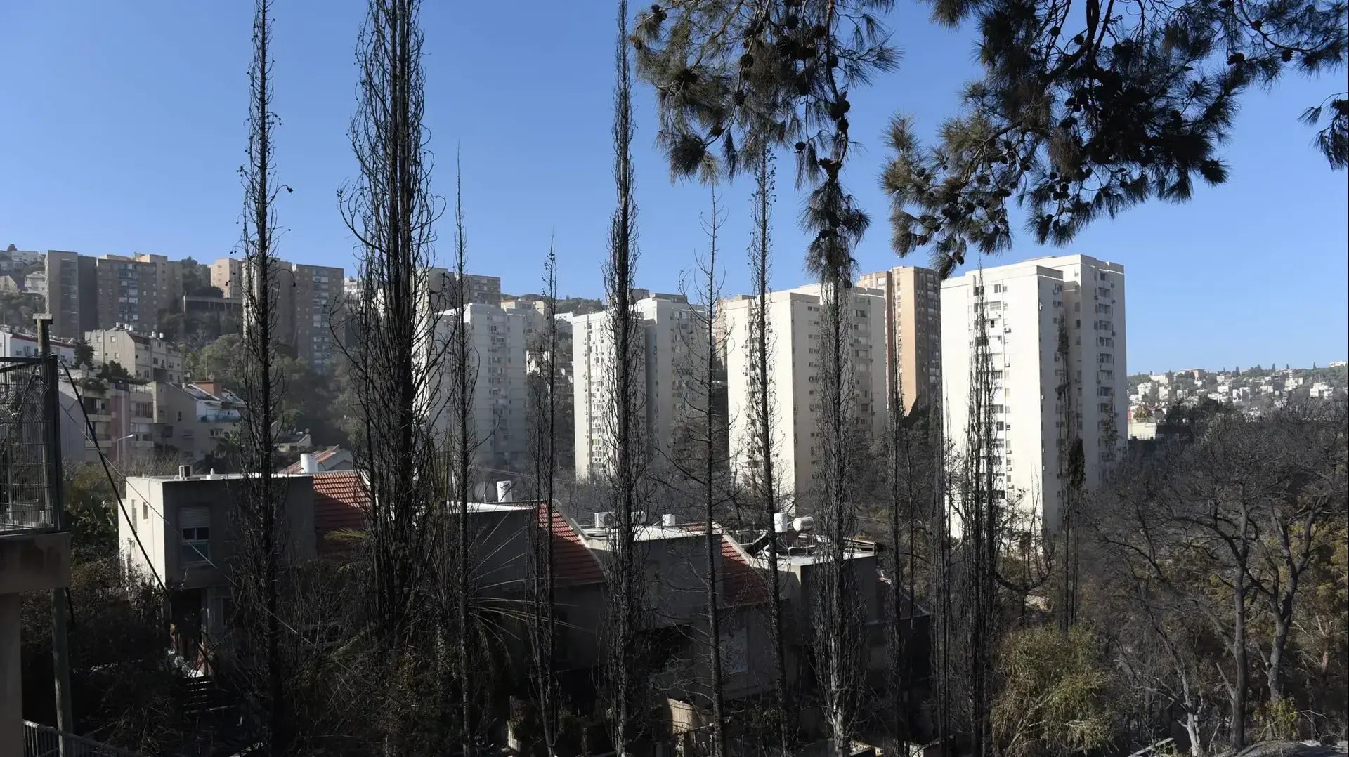 נזקי השריפה בחיפה, 25 בנובמבר 2016 נזקי השריפה בחיפה, 25 בנובמבר 2016