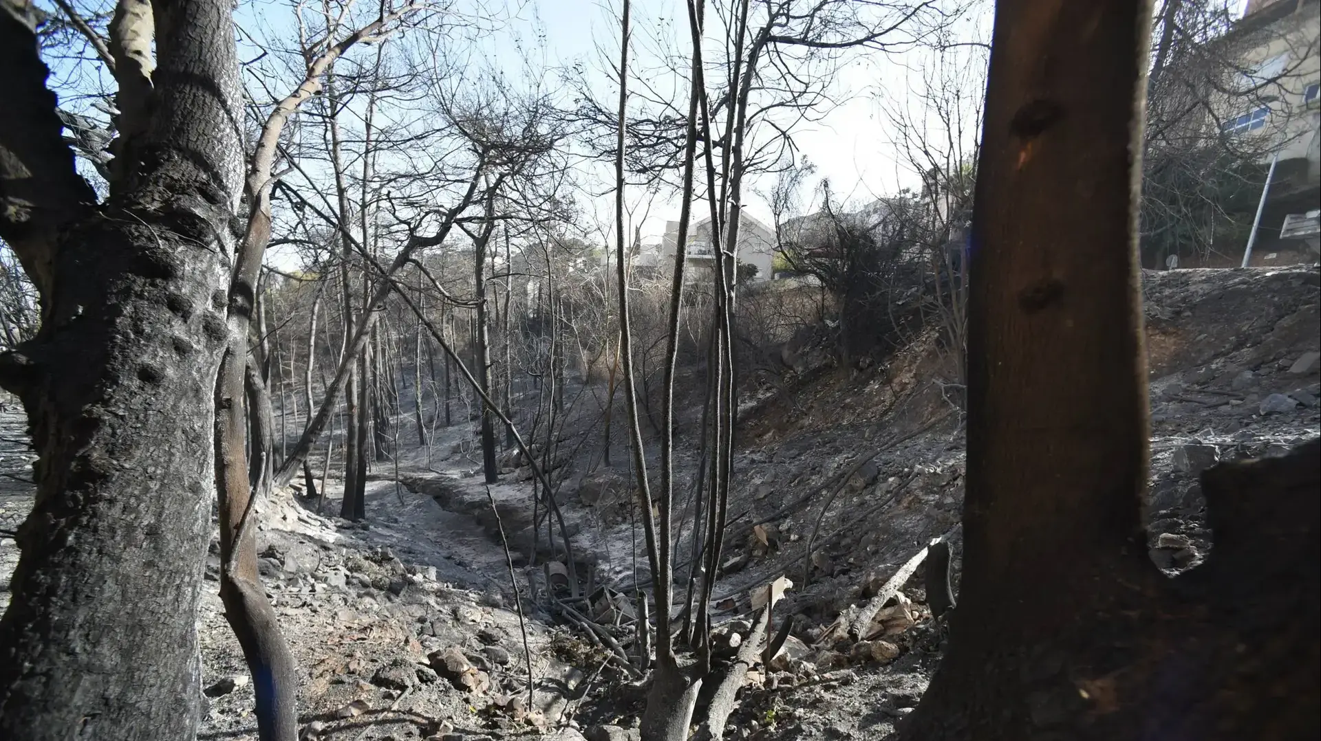 נזקי השריפה בחיפה, 25 בנובמבר 2016 נזקי השריפה בחיפה, 25 בנובמבר 2016