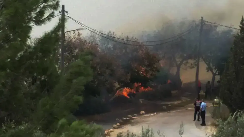 שריפה סמוך למסעדה המטבח של רמה, נטף, 23 בנובמבר 2016 שריפה סמוך למסעדה המטבח של רמה, נטף, 23 בנובמבר 2016