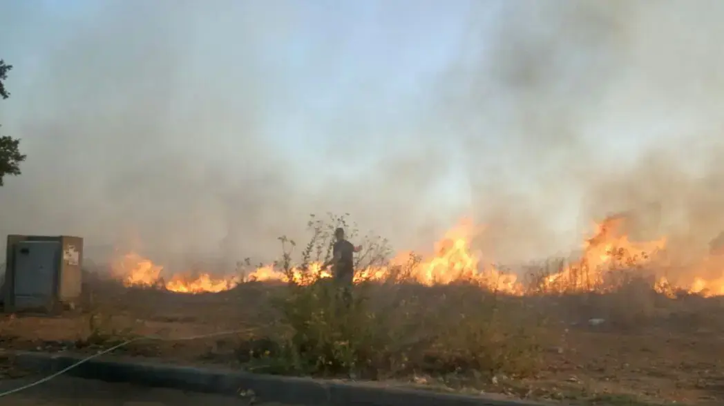 שריפה בבנימינה, 25 בנובמבר 2016 שריפה בבנימינה, 25 בנובמבר 2016