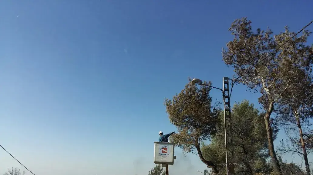 עבודות של חברת החשמל לתיקון תשתיות החשמל לאחר השריפה בחלמיש. 26 בנובמבר 2016 עבודות של חברת החשמל לתיקון תשתיות החשמל לאחר השריפה בחלמיש. 26 בנובמבר 2016