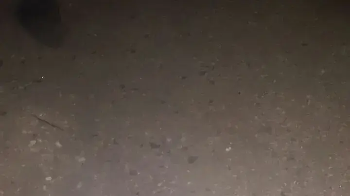 חומרי הצתה שנמצאו באזור דיר קדיס שבאפרים, 26 בנובמבר 2016 חומרי הצתה שנמצאו באזור דיר קדיס שבאפרים, 26 בנובמבר 2016