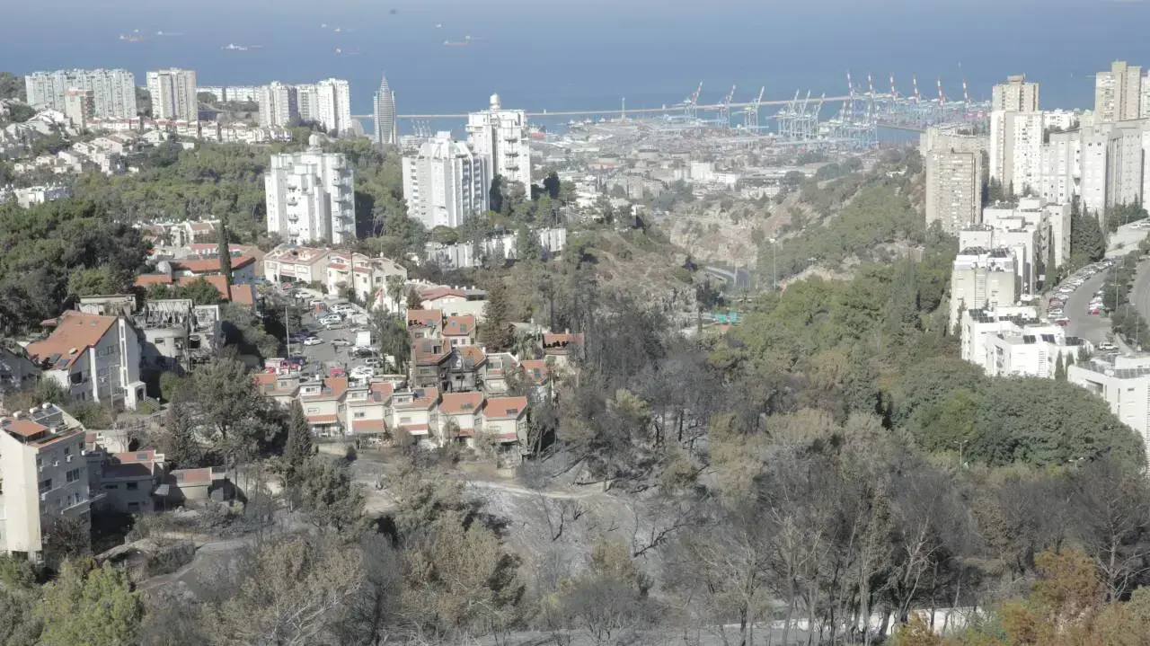 חיפה לאחר השריפות, נובמבר 2016 חיפה לאחר השריפות, נובמבר 2016