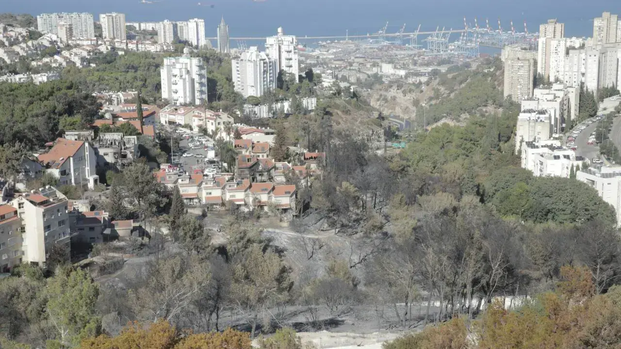 חיפה לאחר השריפות, נובמבר 2016 חיפה לאחר השריפות, נובמבר 2016