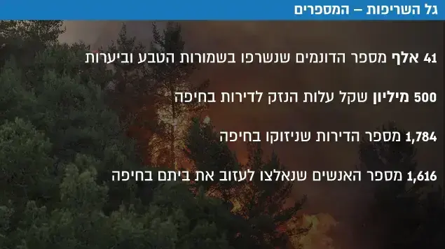 גל השריפות המספרים גל השריפות המספרים