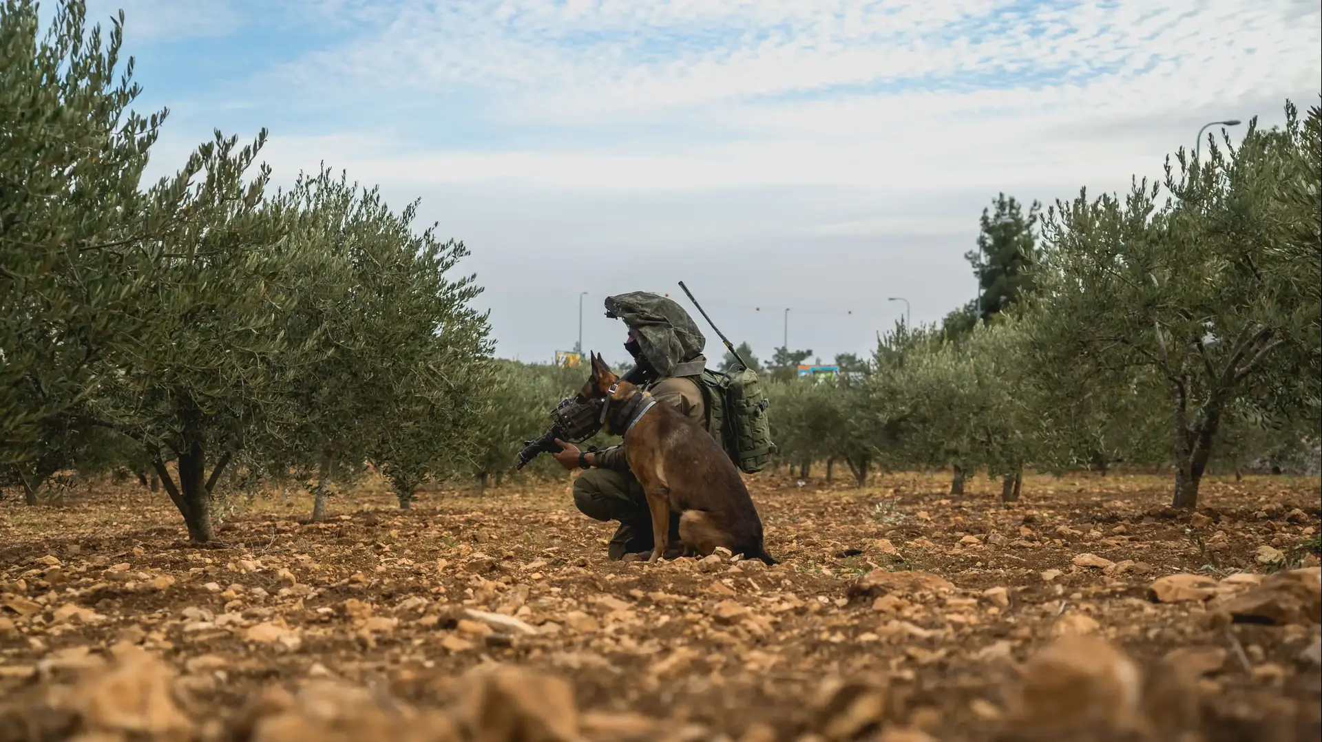 תרגיל חטיבת קומנדו, נובמבר 2016