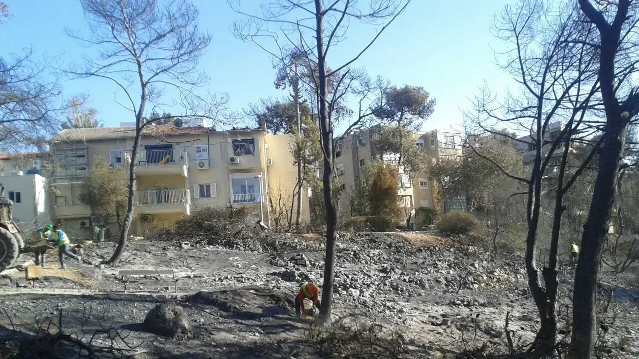 עבודות שיקום בעקבות השריפה לקראת הגשמים. חיפה, 28 בנובמבר 2016 עבודות שיקום בעקבות השריפה לקראת הגשמים. חיפה, 28 בנובמבר 2016