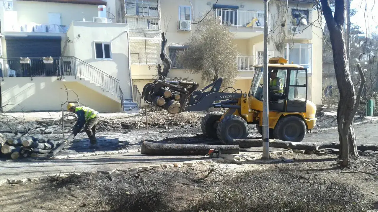 עבודות שיקום בעקבות השריפה לקראת הגשמים. חיפה, 28 בנובמבר 2016 עבודות שיקום בעקבות השריפה לקראת הגשמים. חיפה, 28 בנובמבר 2016