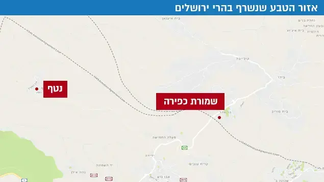 אזור הטבע שנשרף בהרי ירושלים אזור הטבע שנשרף בהרי ירושלים