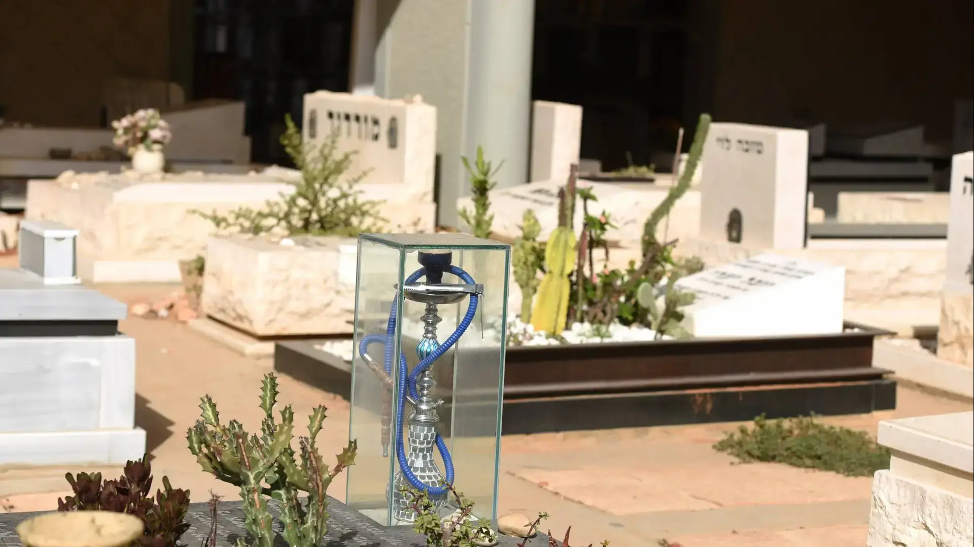 מצבות וקבורה רוויה בבית עלמין ירקון, נובמבר 2016 מצבות וקבורה רוויה בבית עלמין ירקון, נובמבר 2016