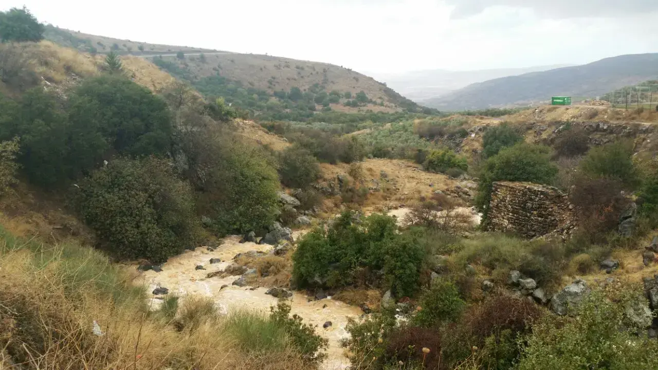 נחל סער, רמת הגולן,  דצמבר 2016