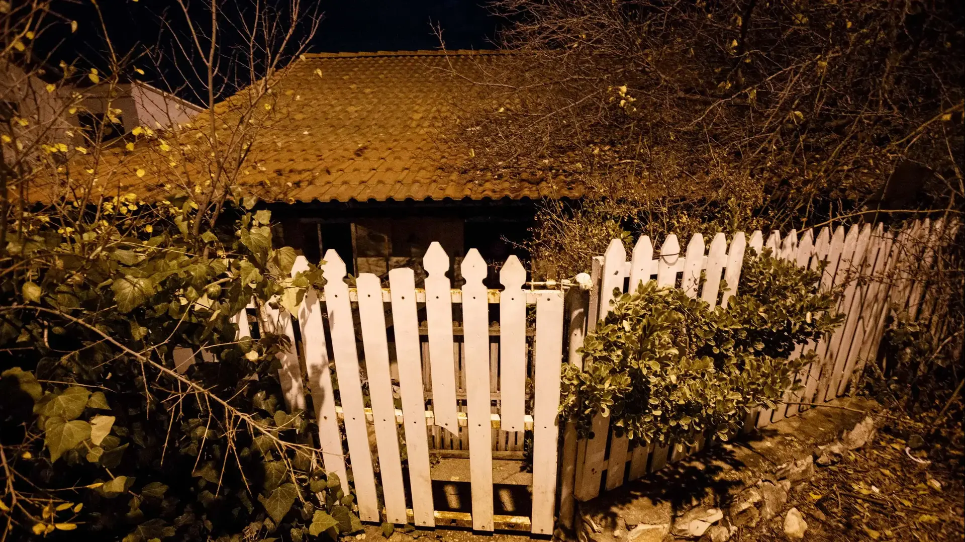 ביתה של אישה מבוגרת ששכניה שכנעו אותה להעביר את הבעלות על דירתה, צפת, 4 בדצמבר 2016 ביתה של אישה מבוגרת ששכניה שכנעו אותה להעביר את הבעלות על דירתה, צפת, 4 בדצמבר 2016