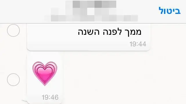 תושב אזור המרכז כבן 47 החשוד בקיום שיחות בעלי אופי מיני עם  שוטרת סמויה שהתחזתה לבת 13, 5 בדצמבר 2016