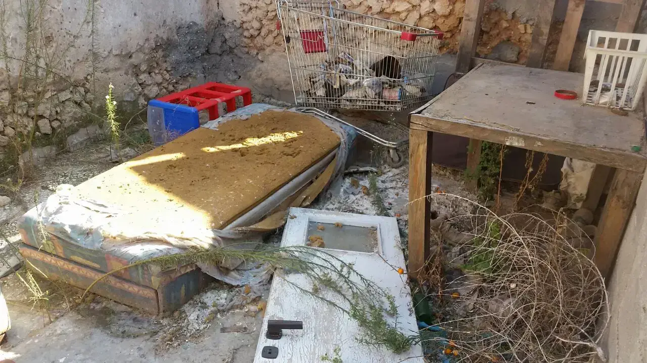 מבנה נטוש בראשון לציון שבו נמצאו גורי כלבים מוזנחים, דצמבר 2016