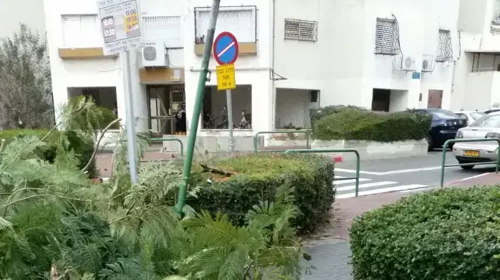 עץ נפל על רכב בעקבות הסערה, תל אביב. דצמבר 2016 עץ נפל על רכב בעקבות הסערה, תל אביב. דצמבר 2016