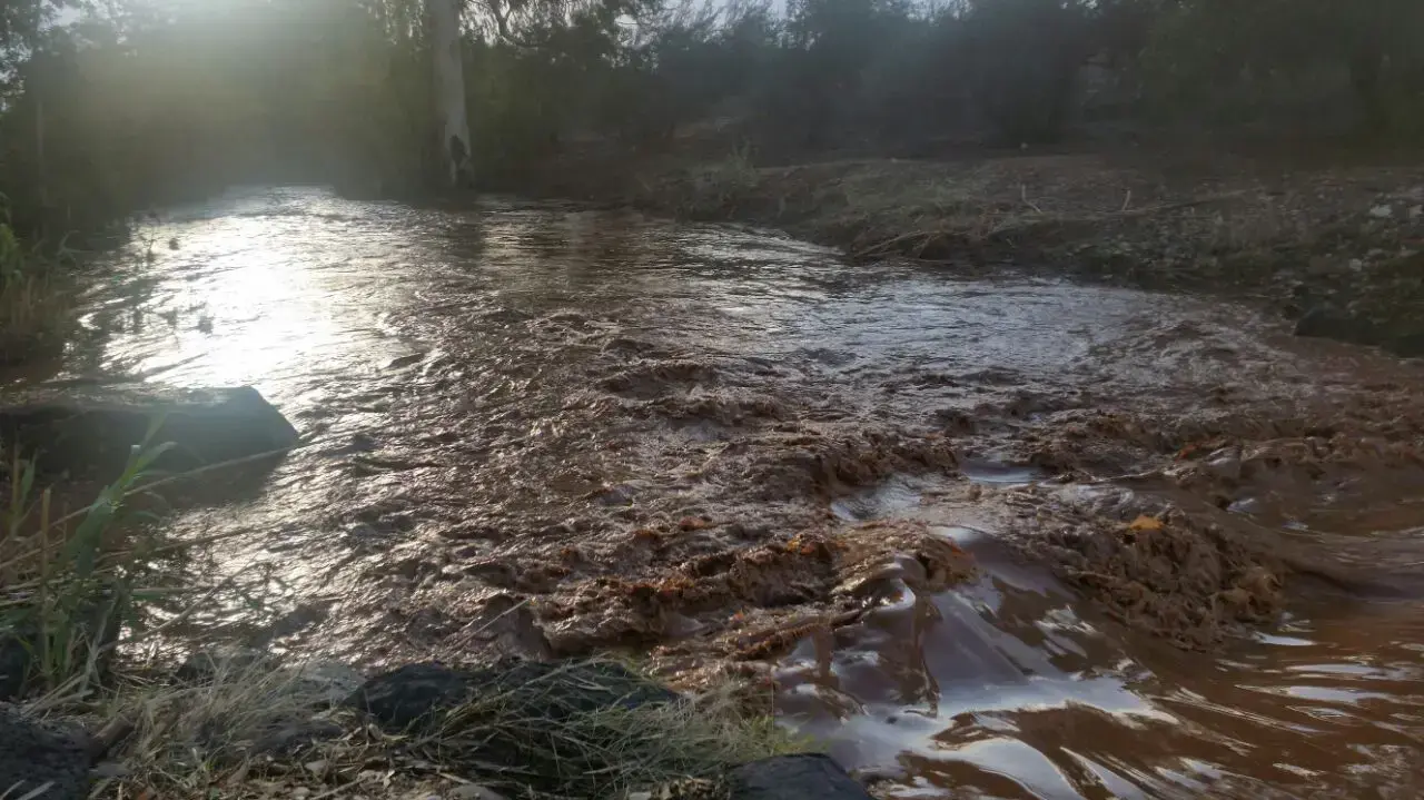 זרימה בנחל צלמון בעקבות הסערה. דצמבר 2016 זרימה בנחל צלמון בעקבות הסערה. דצמבר 2016