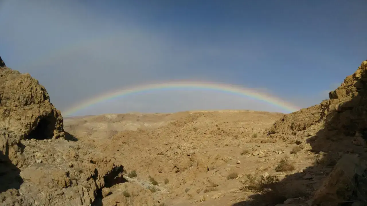 נחל צאלים, 14 בדצמבר 2016 נחל צאלים, 14 בדצמבר 2016