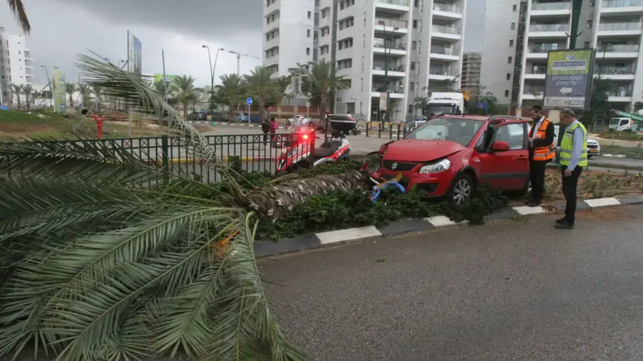 נהגת ברכב פגעה באישה ושני ילדיה, חדרה. 18 בדצמבר 2016 נהגת ברכב פגעה באישה ושני ילדיה, חדרה. 18 בדצמבר 2016