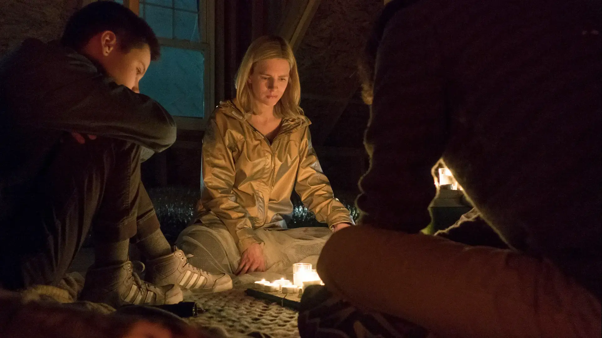 The OA The OA