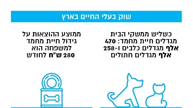 שוק בעלי החיים בארץ שוק בעלי החיים בארץ