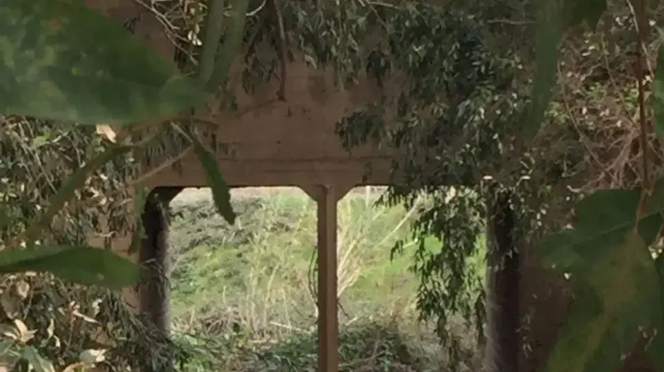 רכב התהפך לנהר הירדן בקיבוץ גדות בצפון, ילדה בת שלוש נפצעה אנוש, 24 בדצמבר 2016 רכב התהפך לנהר הירדן בקיבוץ גדות בצפון, ילדה בת שלוש נפצעה אנוש, 24 בדצמבר 2016
