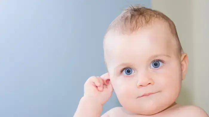 אילוסטרציה אילוסטרציה