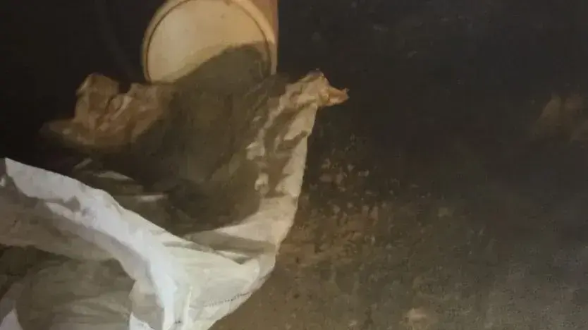 חוליה של תושבי הנגב שתכננו לבצע פיגוע נגד חיילי צה"ל, נובמבר 2016 חוליה של תושבי הנגב שתכננו לבצע פיגוע נגד חיילי צה"ל, נובמבר 2016