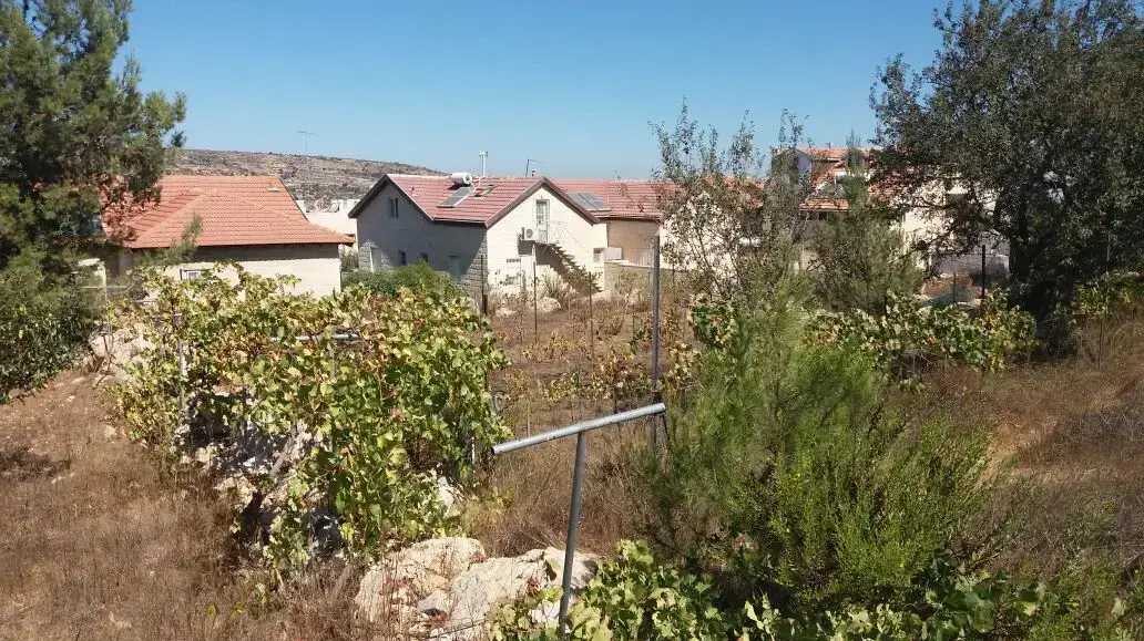 השתלטות על קרקעות פלסטיניות פרטיות, אפרת. דצמבר 2016 השתלטות על קרקעות פלסטיניות פרטיות, אפרת. דצמבר 2016