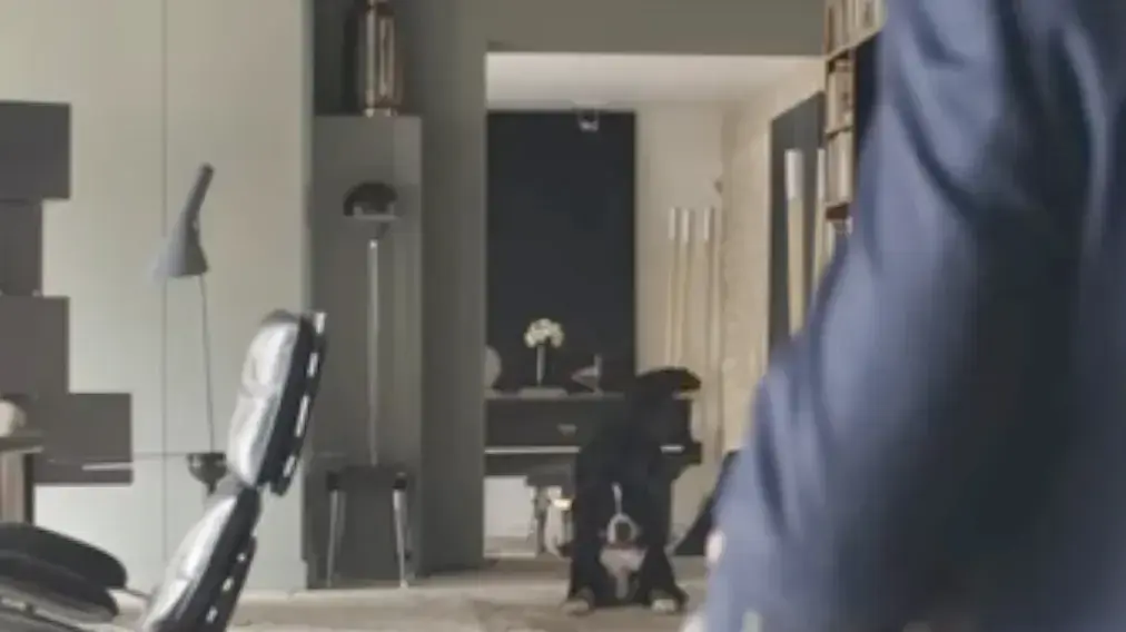 להתאהב מעל הראש להתאהב מעל הראש