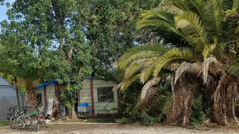 פינת חי, אשר מנהלה מואשם באונס ומעשים מגונים בקטינות, קיבוץ חצור. דצמבר 2016