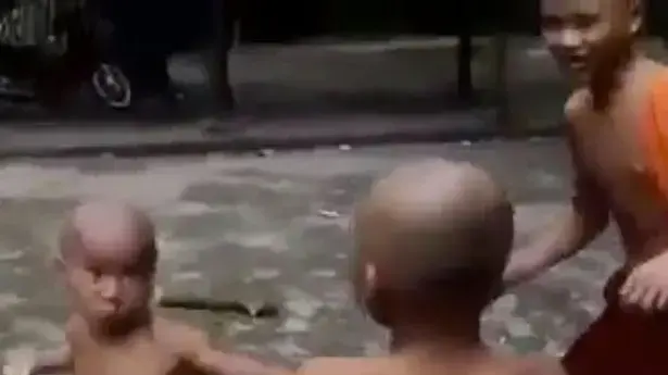 נזירים ילדים מתקוטטים נזירים ילדים מתקוטטים