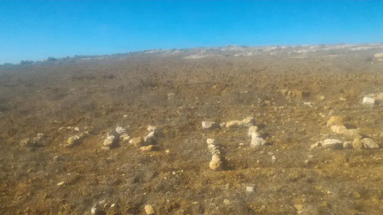 כתובת "נקמה" בשדה של פלסטינים ליד סוסיא 31 דצמבר 2016 כתובת "נקמה" בשדה של פלסטינים ליד סוסיא 31 דצמבר 2016