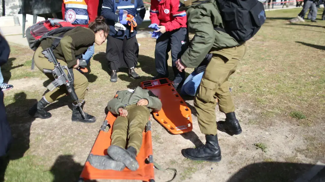 פיגוע דריסה בשכונת ארמון הנציב בירושלים, 8 בינואר 2017 פיגוע דריסה בשכונת ארמון הנציב בירושלים, 8 בינואר 2017