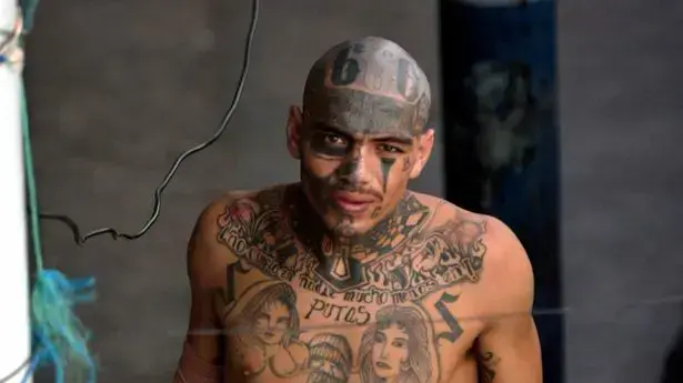 חבר כנופיית MS-13 חבר כנופיית MS-13