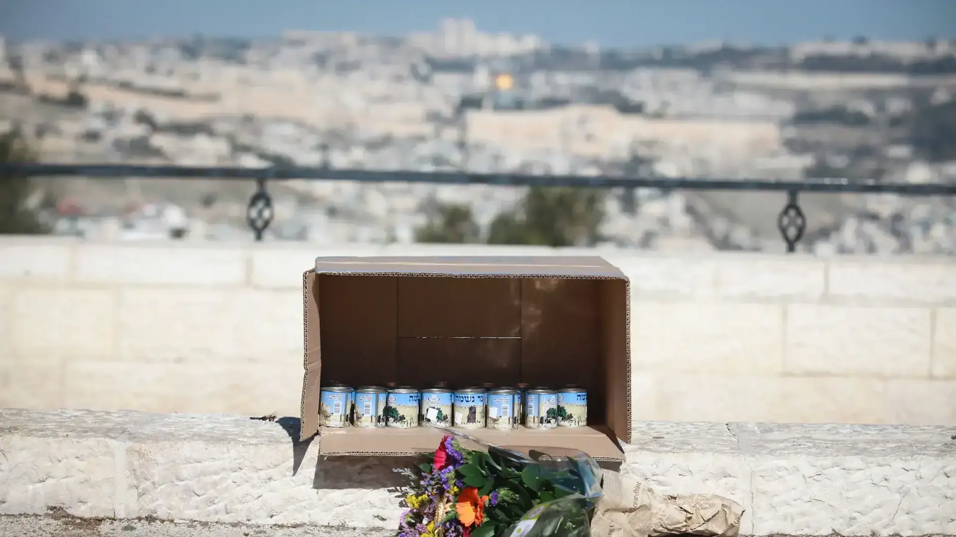 משאית דיפלומטית נגד הטרור, זירת פיגוע הדריסה בטיילת ארמון הנציב, ירושלים. ינואר 2017
