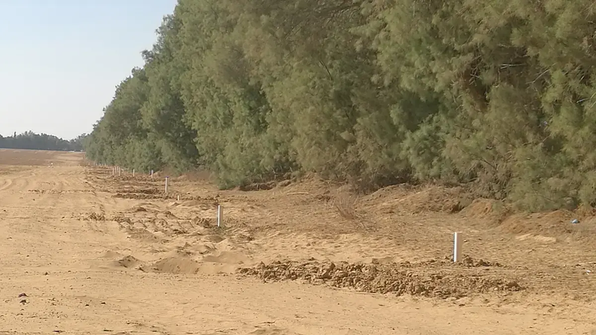 חמאס בונה בקרבת הגדר מוצבים, בתי מגורים צפופים, מפקדות ומסגדים. ינואר 2017 חמאס בונה בקרבת הגדר מוצבים, בתי מגורים צפופים, מפקדות ומסגדים. ינואר 2017