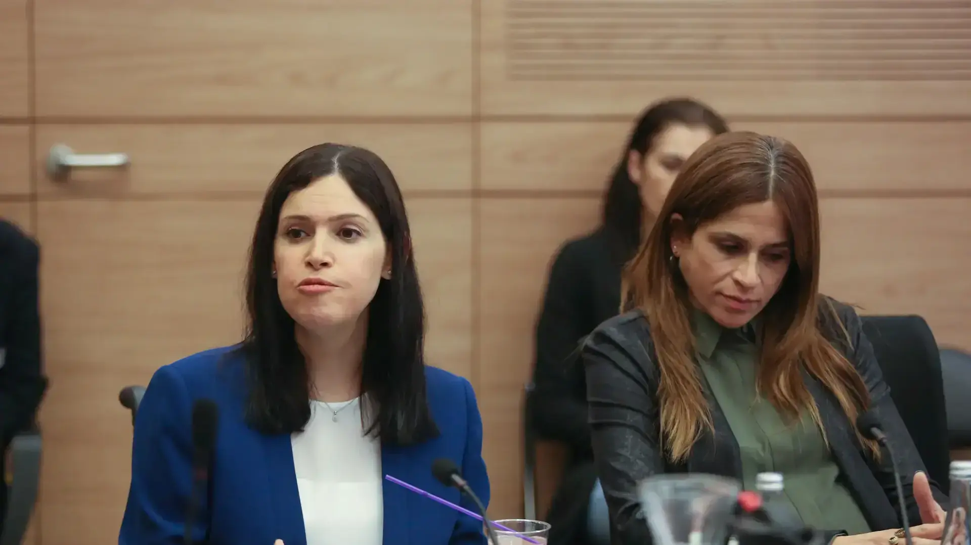 קארין אלהרר ומירב בן ארי בוועדת העבודה, הרווחה והבריאות, דיון בקשיי המחלימים ממחלות קשות, כנסת. ינואר 2017 קארין אלהרר ומירב בן ארי בוועדת העבודה, הרווחה והבריאות, דיון בקשיי המחלימים ממחלות קשות, כנסת. ינואר 2017