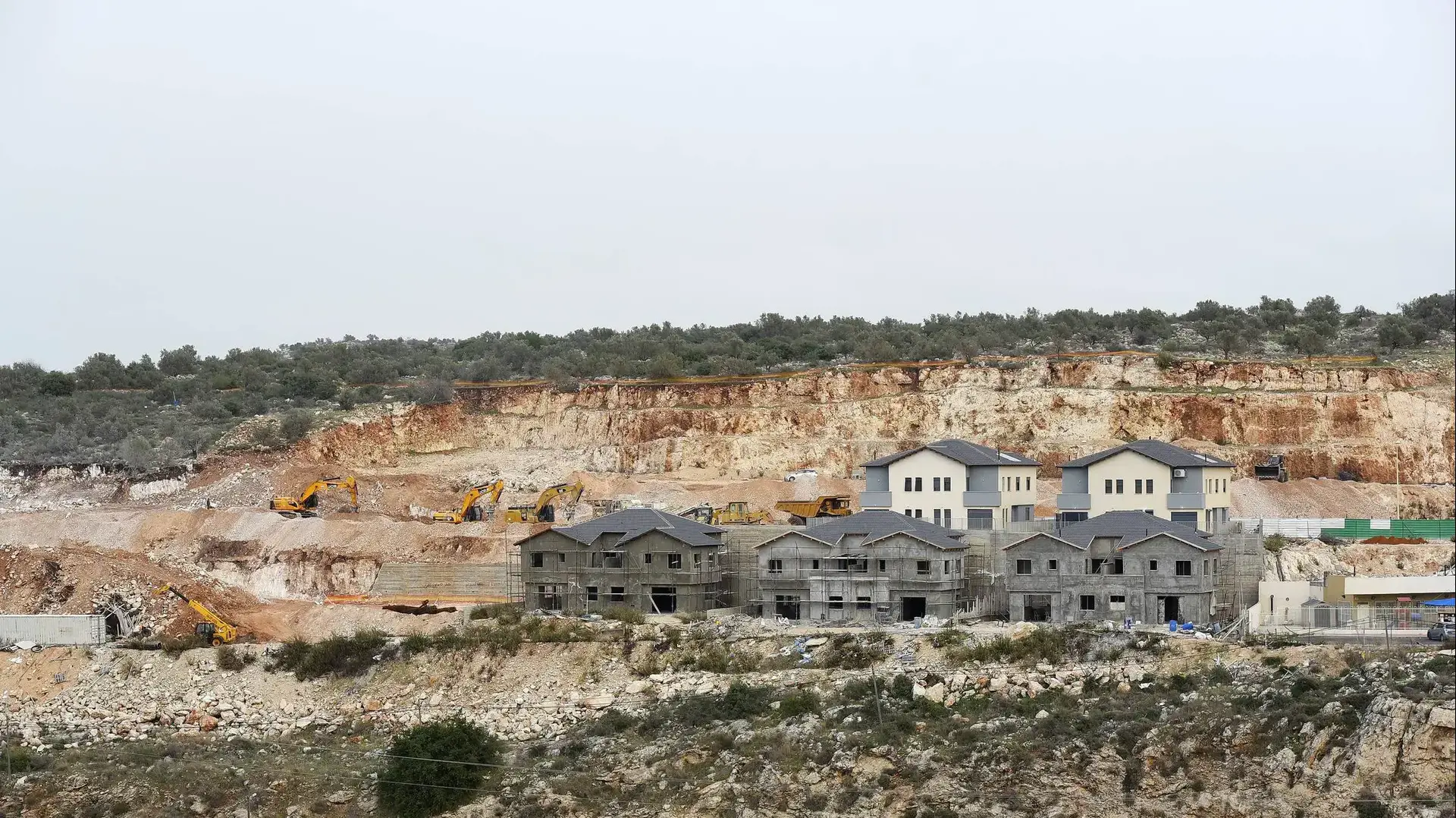הישוב עץ אפרים, ינואר 2017